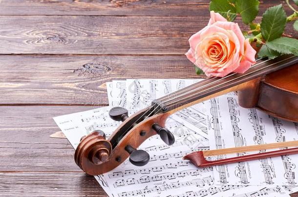 古典的音乐仪器和粉红色的玫瑰.