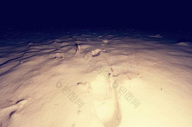 脚印向新鲜的雪在旁边夜<strong>消失</strong>采用指已提到的人黑暗的.