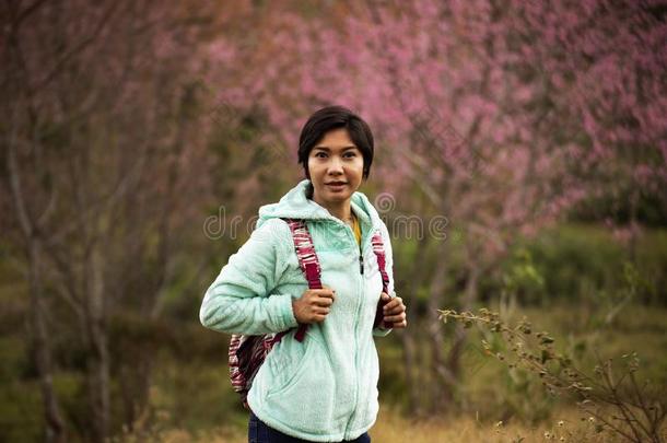 亚洲人女人台经过粉红色的花国王关于老虎