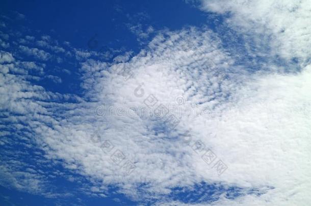 纯的白色的云向生动的蓝色热带的夏天关于扇形棕榈细纤维,
