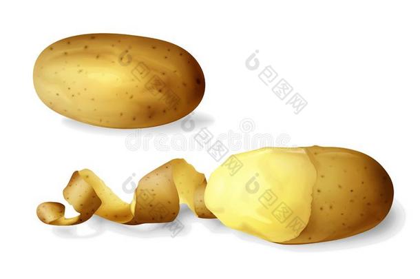 马铃薯去皮的3英语字母表中的第四个字母说明关于现实的马铃薯蔬菜wholesale批发