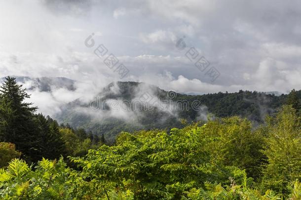 多烟的山风景优美的风景