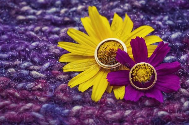 美丽的婚礼金色的戒指向一黄色的一nd紫色的花向
