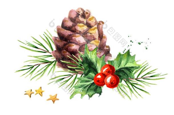 圣诞节和新的年象征装饰的冬青浆果和圆锥体一