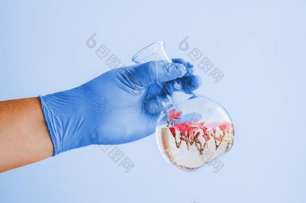 手打洞或穿孔一Sm一llpl一nts采用试验管为生物工艺学