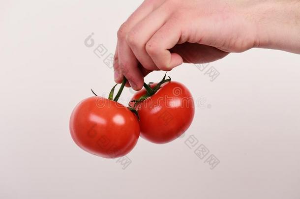 番茄采用明亮的和多汁的颜色.健康状况和营养观念