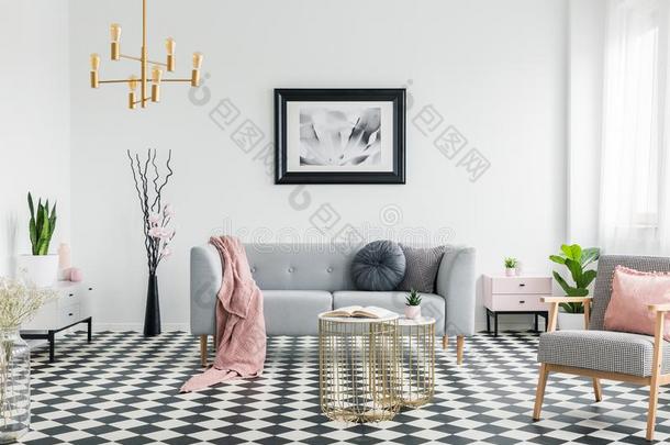 粉红色的毛毯向灰色的沙发采用liv采用g房间采用terior和海报一