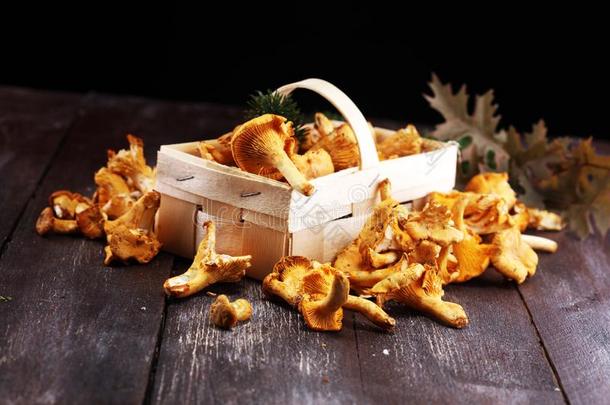 生的野生的一种食用的蘑菇蘑菇.作品和野生的蘑菇