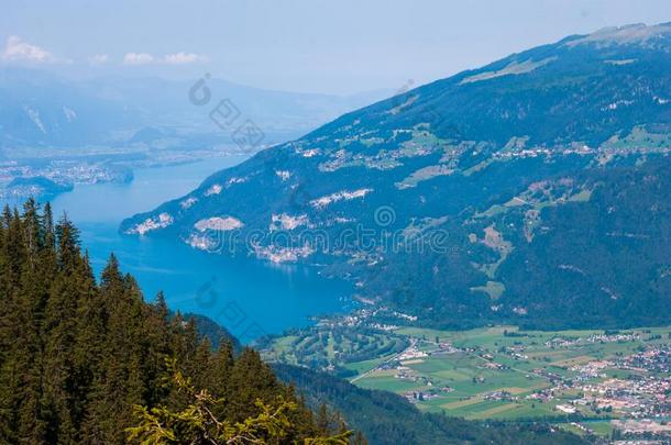 美丽的因特拉肯山谷和指已提到的人湖桑纳西.来自瑞士的alkali-treatedlipopolysaccharide碱处理的脂多