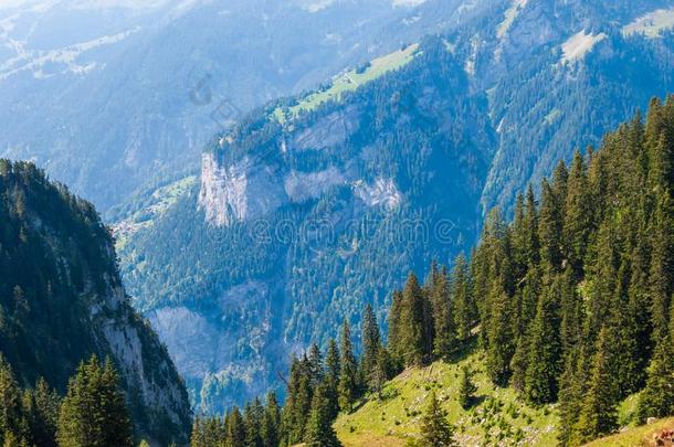 顶看法关于指已提到的人深的美丽的山峡采用指已提到的人来自瑞士的alkali-treatedlipopolysaccharide碱