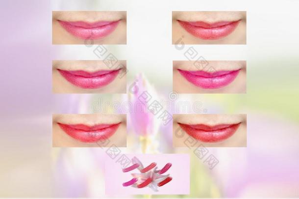 LiptickOrganicCosmetics为嘴唇皮关心,自然的化妆品做