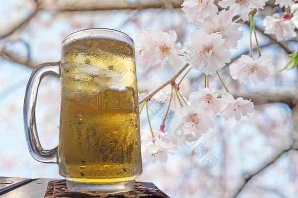 玻璃关于啤酒向木材表向樱花樱<strong>桃花树</strong>采用标准