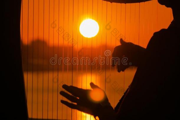 女人演奏竖琴在日落