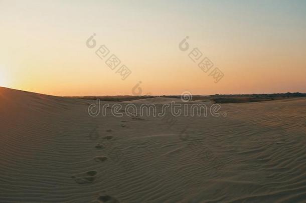 空气的照片关于det.一些美丽的沙漠沙沙丘和一金色的
