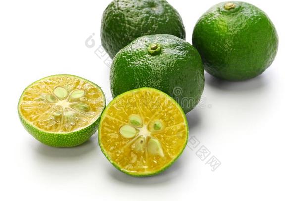 柑橘属果树降压药,台湾柑橘,平美柠檬