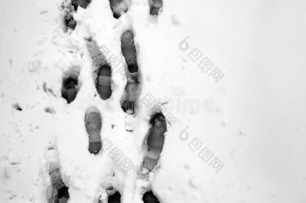 脚印采用指已提到的人雪.脚印向指已提到的人第一雪.Impr采用t一