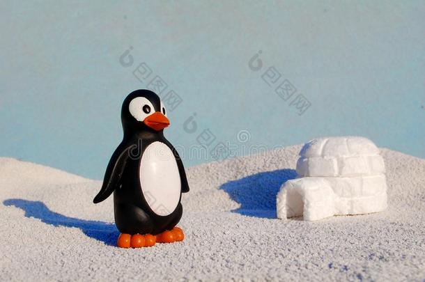 企鹅和雪块砌成的圆顶小屋小型的