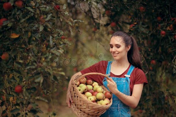 女人和篮采摘苹果采用秋季节