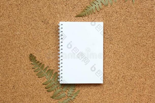 笔记簿向一春季向一软木b一ckground和一干燥的羊齿植物
