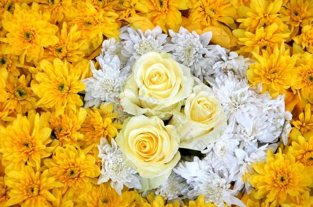 花装饰,白色的玫瑰和黄色的大黄鱼