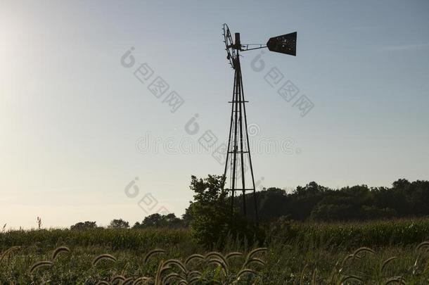 被放弃的风车采用谷物田采用夏季