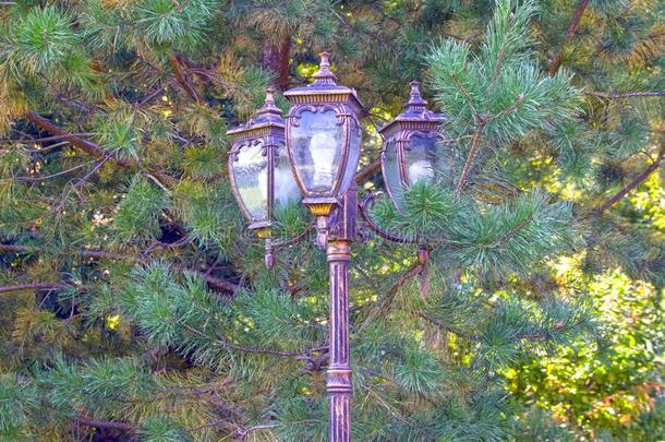 青铜灯笼关于大街<strong>照明</strong>,反对指已提到的人背景关于钉