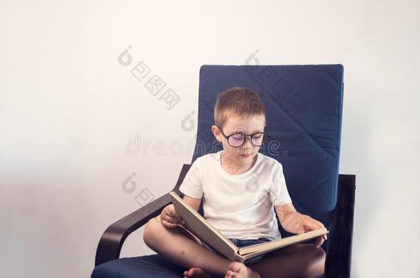 <strong>你好小</strong>孩阅读令人感兴趣的书一次在伍德椅子.自负