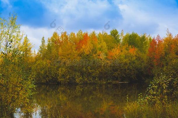 九月风景在近处指已提到的人森林湖采用指已提到的人秋一天
