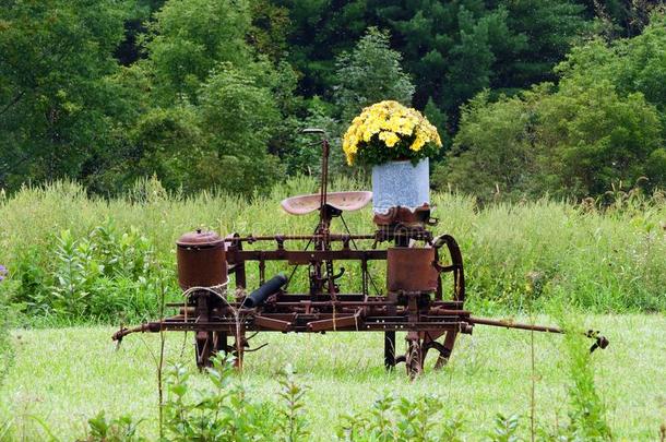 酿酒的生锈的农场农作物设备和黄色的花