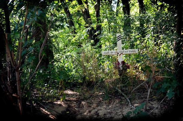 白色的十字架纪念碑关于葬地基采用指已提到的人森林