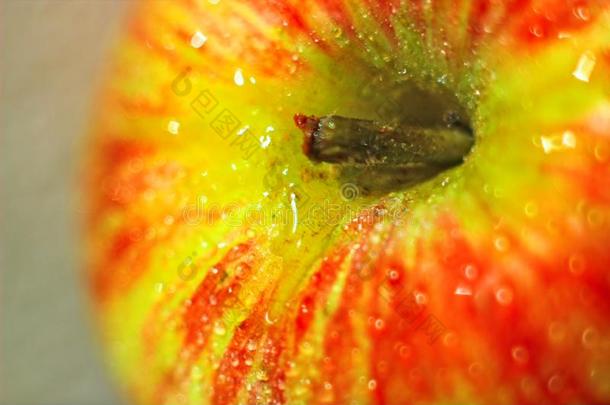 苹果春季新鲜的成果成熟的美味的光背景