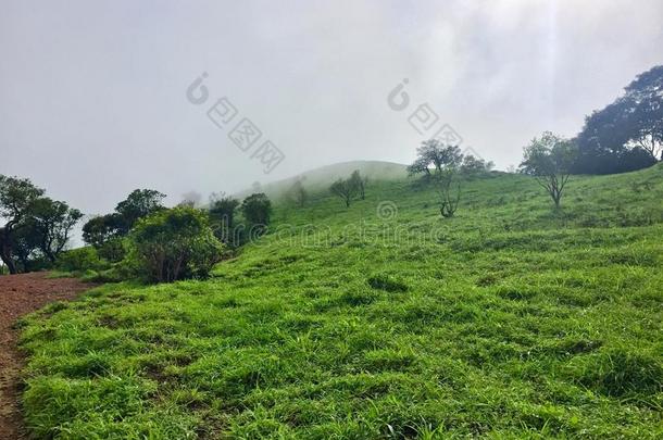 葱翠的绿色的草原向指已提到的人小山关于科达查德里