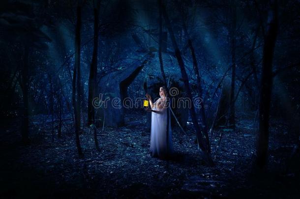 小精灵女孩采用夜森林