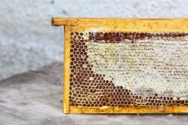 养蜂场蜂箱框架和蜜蜂蜡结构满的关于新鲜的蜜蜂用磨刀<strong>石磨</strong>