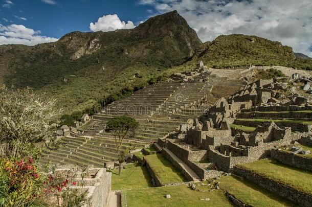 马丘比丘,秘鲁.指已提到的人古代的inventoryc向trolandanalysis存货控制与分析城市,坐落的向秘鲁在Thai