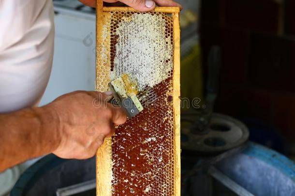 蜂蜜梳子.养蜂人是（be的三单形式打开蜜盖honey梳子和打开蜜盖餐叉