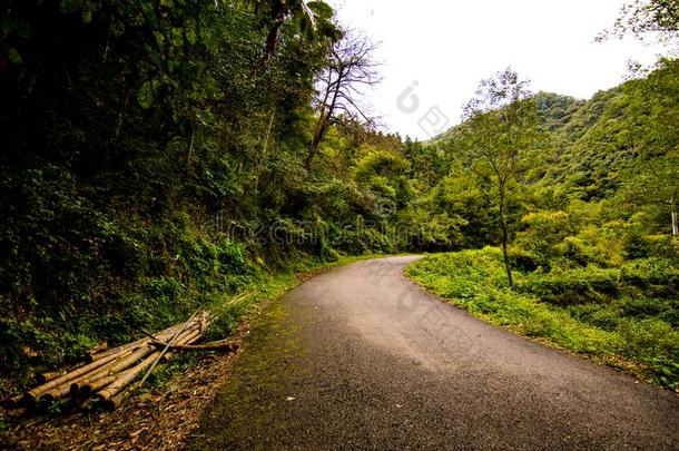 铺山路关于Shisun中国