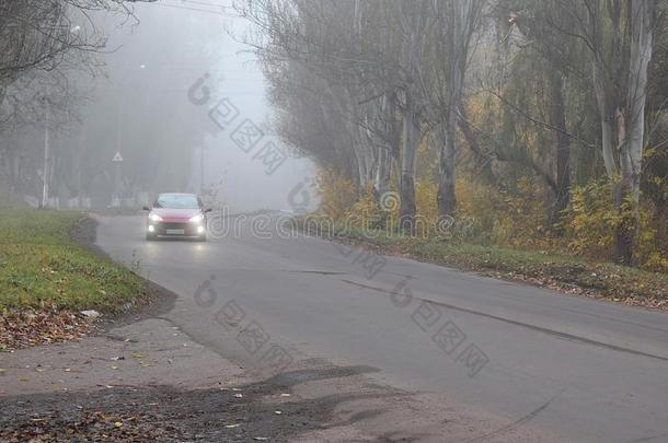 一汽车活动的一起指已提到的人路采用雾.