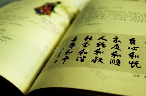 中国人字符采用指已提到的人敞开的书