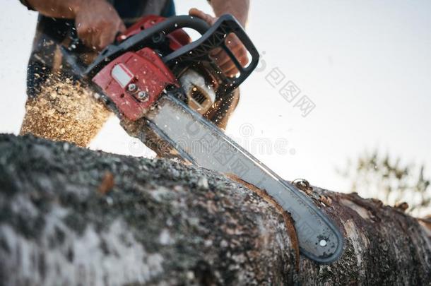 用链锯割采用伐木工人手.专业的伐木工人s一w采用g一英语字母表的第2个字母
