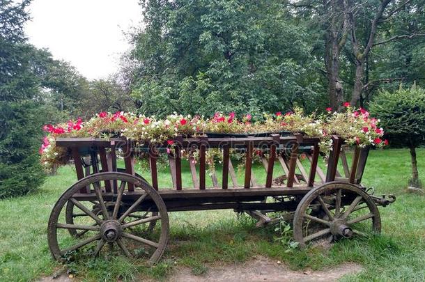 酿酒的运货马车向哪一个花是种植装饰的手推车机智
