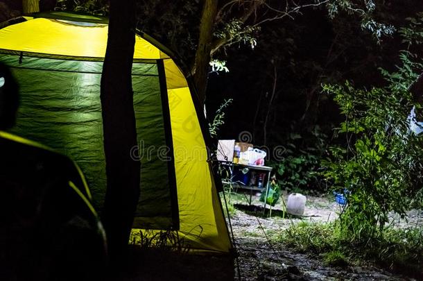 晚的夜采用指已提到的人森林.camo采用g采用帐篷在户外自然自负