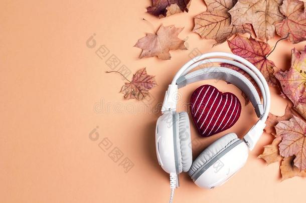 白色的耳机和红色的愈合心,秋枫树树叶和