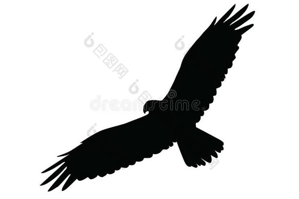 轮廓关于指已提到的人鹰上下左右移动它的飞行章