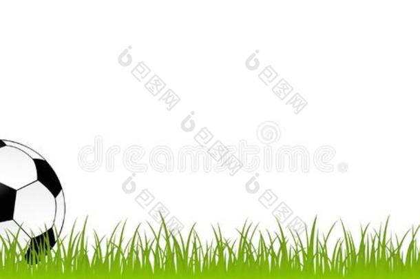 足球向绿色的草地隔离的向白色的背景足球balancing平衡