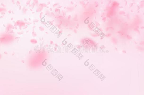樱花花瓣落下下.浪漫的粉红色的花梯度.费利