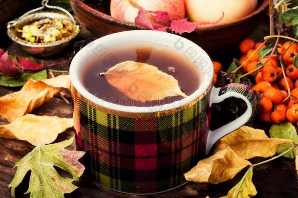 秋仍生活和茶水杯子