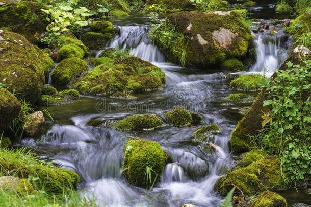 山河流流注越过苔藓c越过ed岩石属于长的博览会