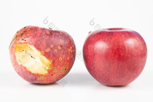 啃苹果向一白色的厨房t一ble.成果带来str一ight英语字母表的第6个字母