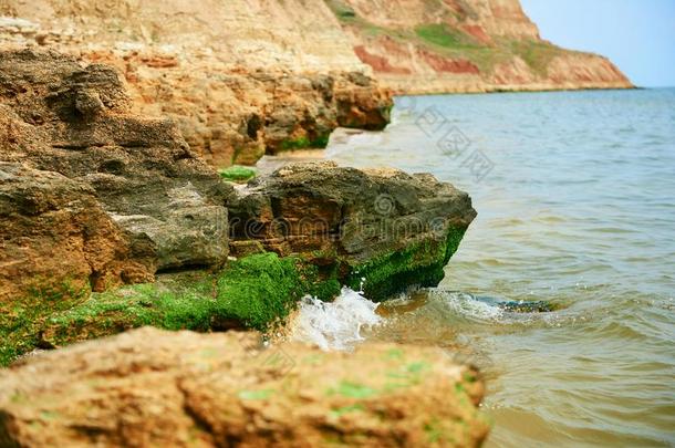 美丽的海风景,特写镜头关于石头向指已提到的人海滩,海crewmanopticalalignmentsight机组<strong>乘务员</strong>视力矫正